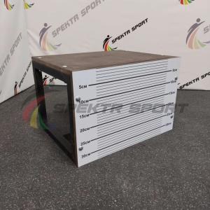 Купить Скамья для измерения гибкости мобильная в Дно 
